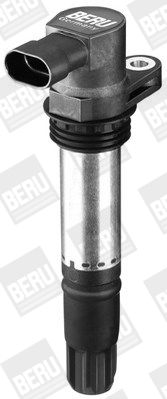 запалителна бобина BorgWarner (BERU)