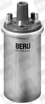 запалителна бобина BorgWarner (BERU)