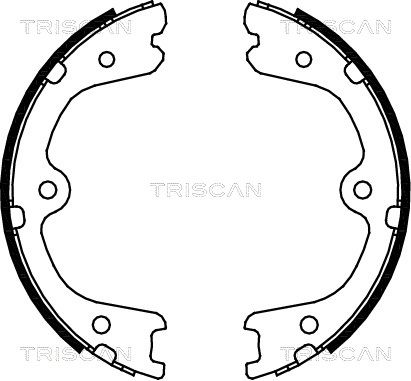 комплект спирачна челюст, ръчна спирачка TRISCAN