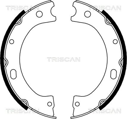 комплект спирачна челюст TRISCAN
