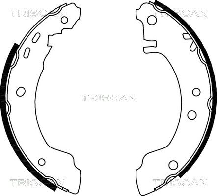 комплект спирачна челюст TRISCAN