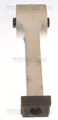 окачване, двигател TRISCAN