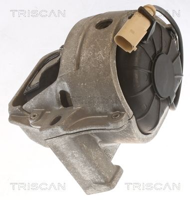 окачване, двигател TRISCAN