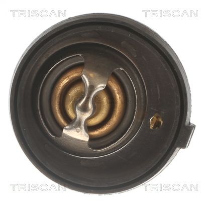 термостат, охладителна течност TRISCAN
