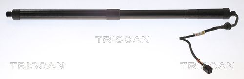 газов амортисьор, багажно/товарно пространство TRISCAN