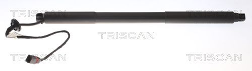 газов амортисьор, капак на двигателя TRISCAN