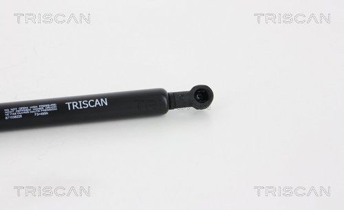 газов амортисьор, багажно/товарно пространство TRISCAN