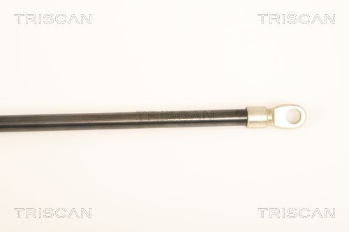 компресор, пневматична система TRISCAN