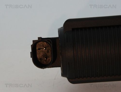 AGR-Клапан TRISCAN