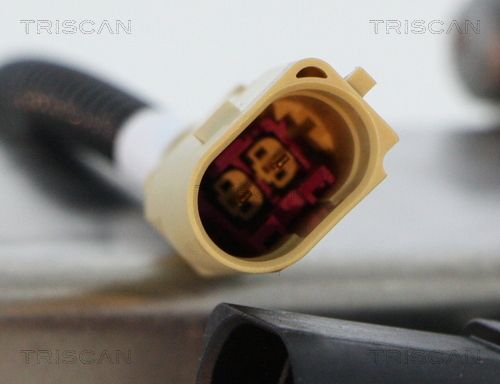 AGR-Клапан TRISCAN