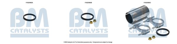 тръбичка, сензор за налягане (филтър за твърди частици) BM CATALYSTS