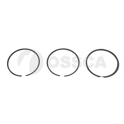 комплект сегменти OSSCA